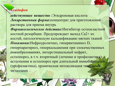 Действующее вещество и его фармакологическое действие