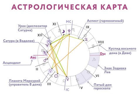 Дельфины и их значение в астрологии и зодиаке