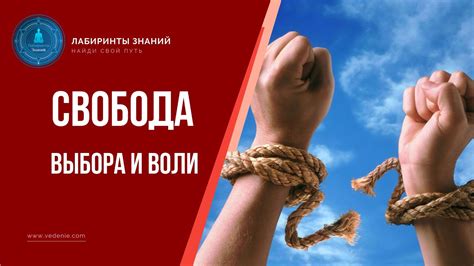 Демократия: свобода выражения воли народа