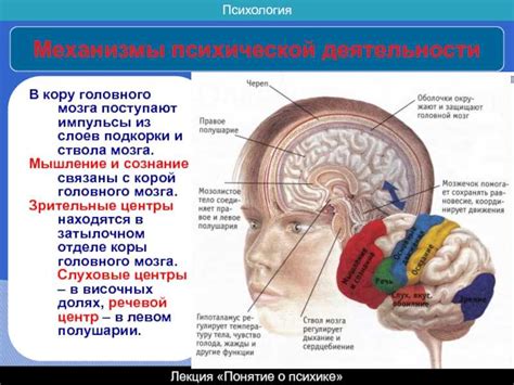 Детектирование проблем в мозге