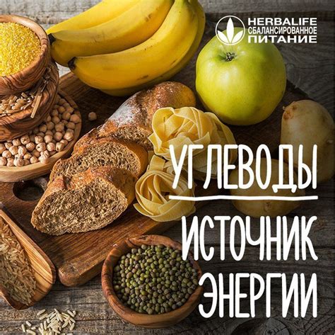 Детритофагия: главный источник питания