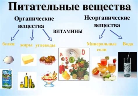 Дефицит питательных веществ и желтизна гороха