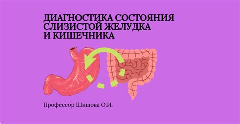 Диагностика атрофии слизистой кишечника