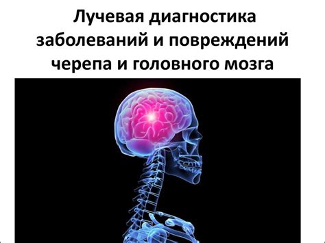 Диагностика герпеса головного мозга: методы и процедуры