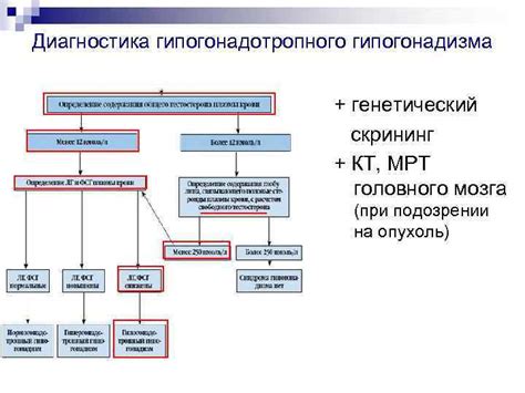 Диагностика гипогонадотропного гипогонадизма