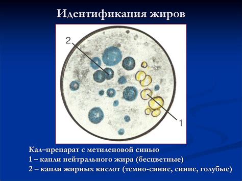 Диагностика глыбок в кале