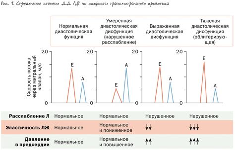 Диагностика диастолической дисфункции ЛЖ