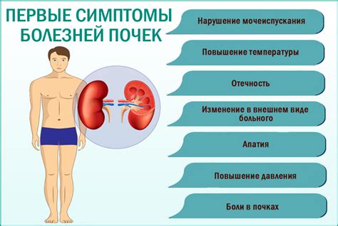 Диагностика и лечение заболеваний почек