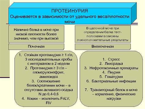 Диагностика и лечение повышенного удельного веса в моче