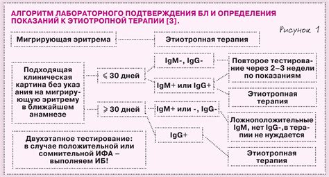 Диагностика лайм-боррелиоза