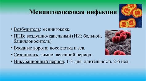 Диагностика менингококковой инфекции