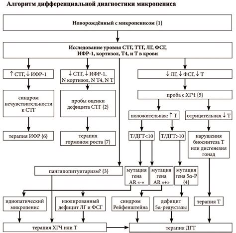 Диагностика отверзающего ложесна