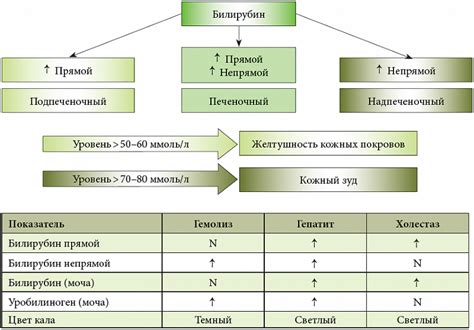 Диагностика синдрома холестаза