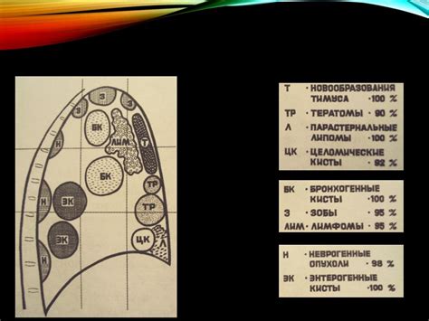 Диагностика средостения умеренного расширения