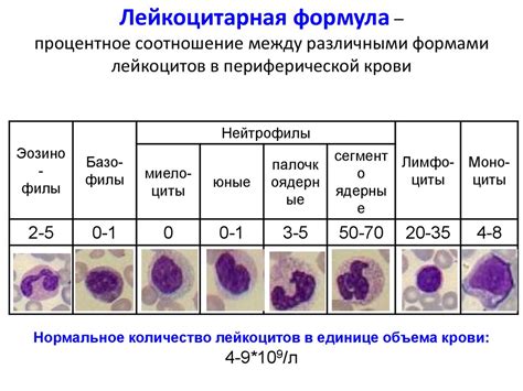 Диагностика умеренно выраженной лейкоцитарной реакции