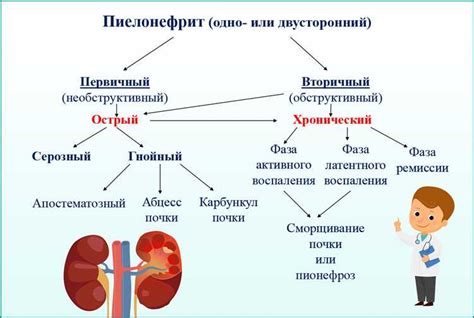 Диагностика хронического пиелонефрита