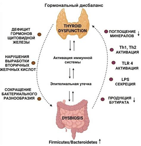 Дисфункция щитовидной железы