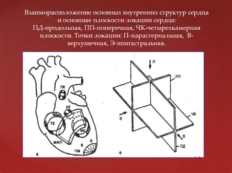 Дифференциальная диагностика затрудненной локации структур сердца