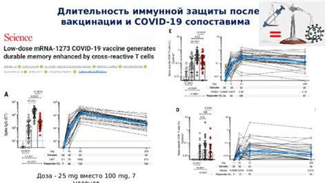 Длительность иммунитета после вакцинации