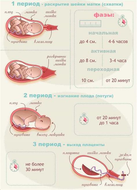 Длительность схватки в родах: 4 минуты - что означает?