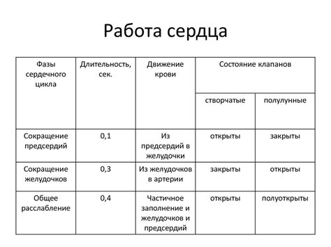 Длительность цикла и его продолжительность: все, что вам нужно знать