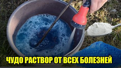 Дозировка и правила использования 1% бордосской смеси