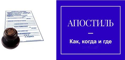 Документы, подтверждающие юридическую свободу