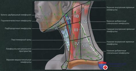 Дополнительные медицинские исследования и методы визуализации лимфоузлов шеи