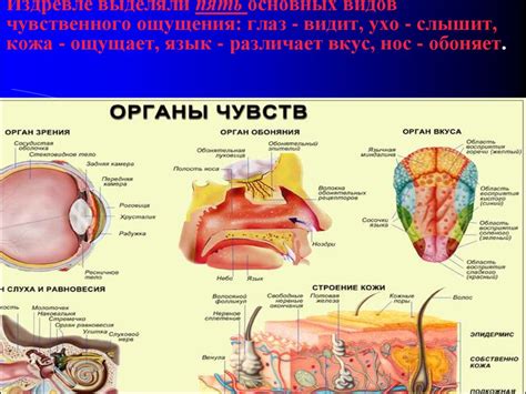 Дополнительные сенсорные функции для большей интерактивности