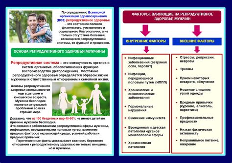 Другие факторы, влияющие на репродуктивные возможности мужчин