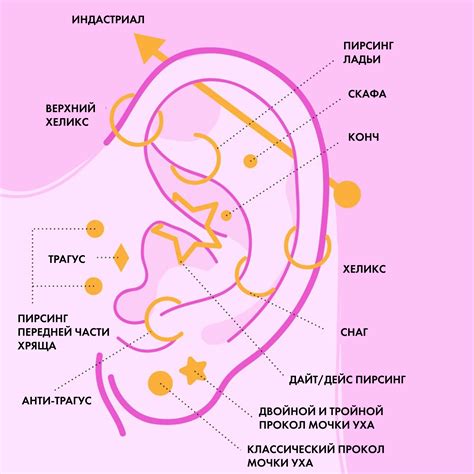 Ежедневные завитки у ушей: как их расшифровать?