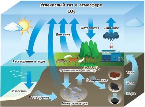 Естественные исходные причины парникового эффекта