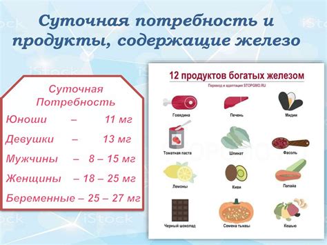 Железо в составе гемоглобина: необходимость для кроветворных органов