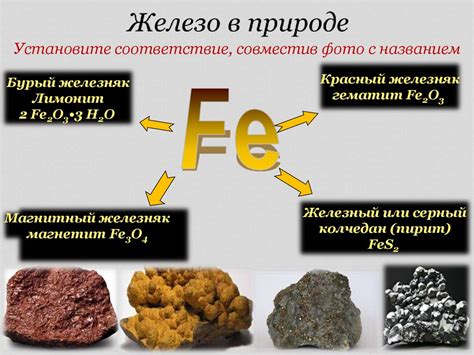 Железо и его важность для организма