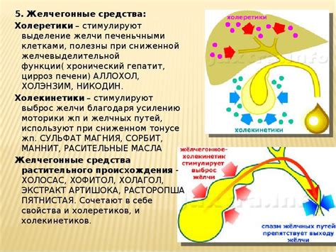 Желчегонные препараты: роль и основные свойства