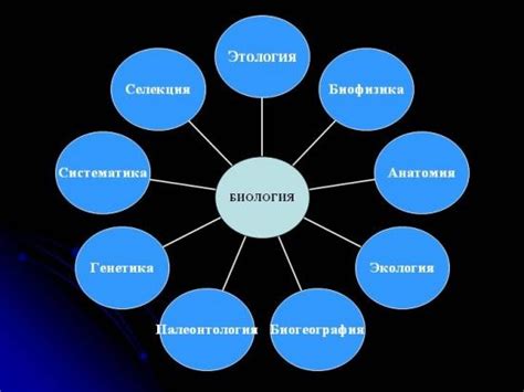 Живой взгляд: понятие и значение