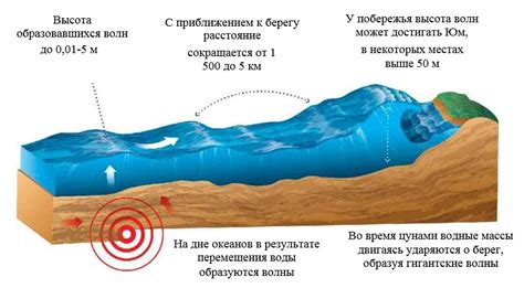 Жизнь в морской глубине: каковы опасности, сопровождающие величественные приливные волны?