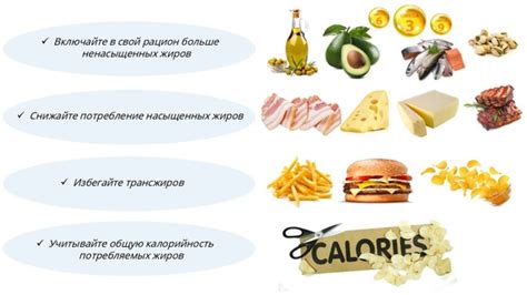 Жиры: необходимый компонент питания