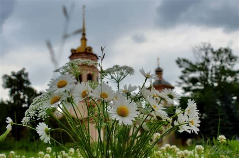 Житницы и их значение в народной культуре