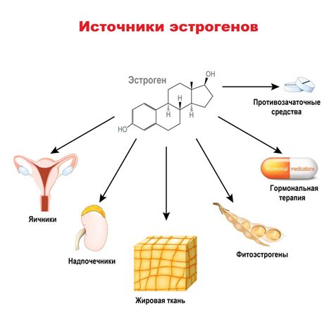 Заболевания, вызывающие низкий уровень эстрогенов