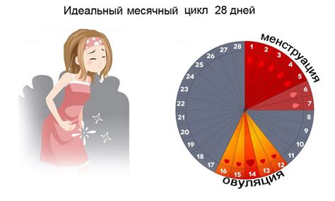 Заболевания, связанные с нарушениями менструального цикла