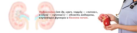 Заболевания, с которыми работает нефролог