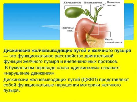 Заболевания желчного пузыря и желчных протоков