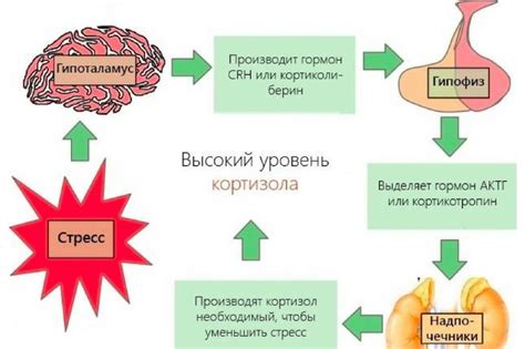 Заболевания и повышенный уровень кортизола