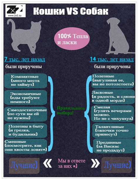 Завести порося: достоинства и недостатки