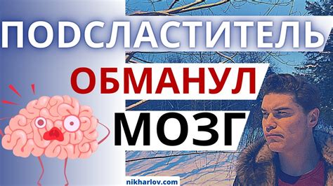 Зависимость вкуса и облака от соотношения PG VG