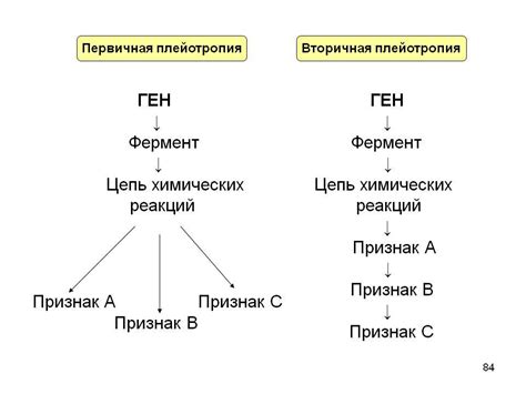 Зависимость между различными типами удовольствия