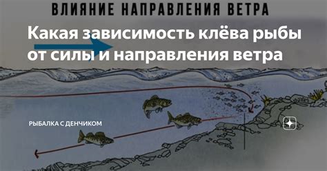 Зависимость от силы ветра