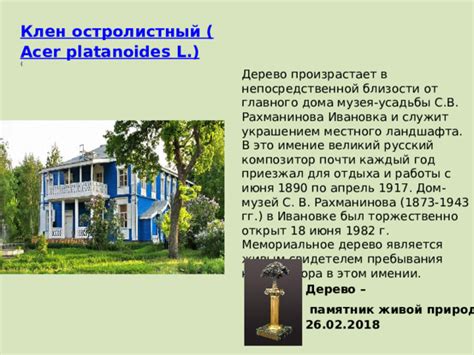 Заводь в непосредственной близости от дома: мощь женского начала и внутреннее видение в сновидении