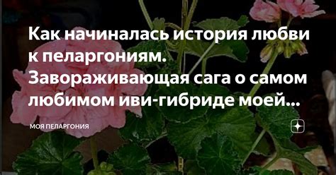 Завораживающая сага о привлекательности пары, объединенной судьбой